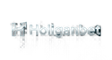 Holiganbet